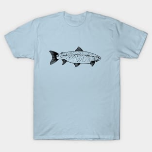 Landlocked Salmon - detailed fish drawing T-Shirt